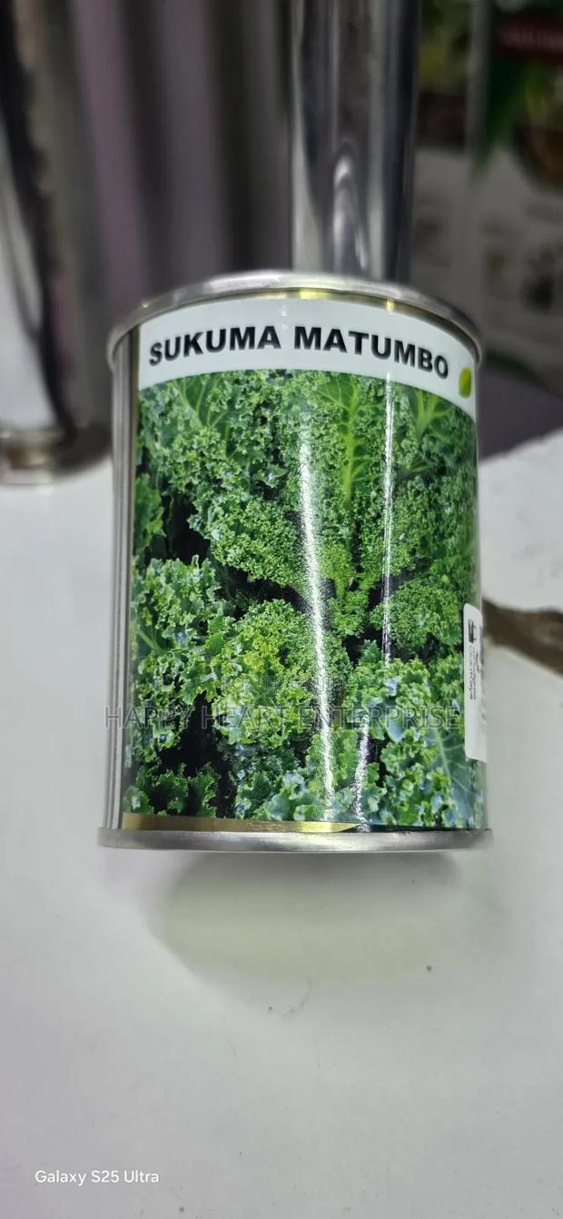 Sukuma Matumbo 50g Royal Seeds