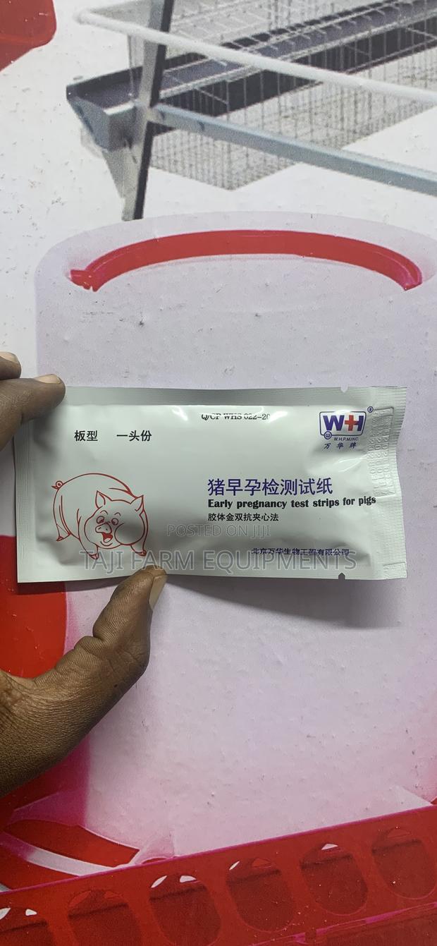 Pig Pregnancy Test Kits Available! - main view