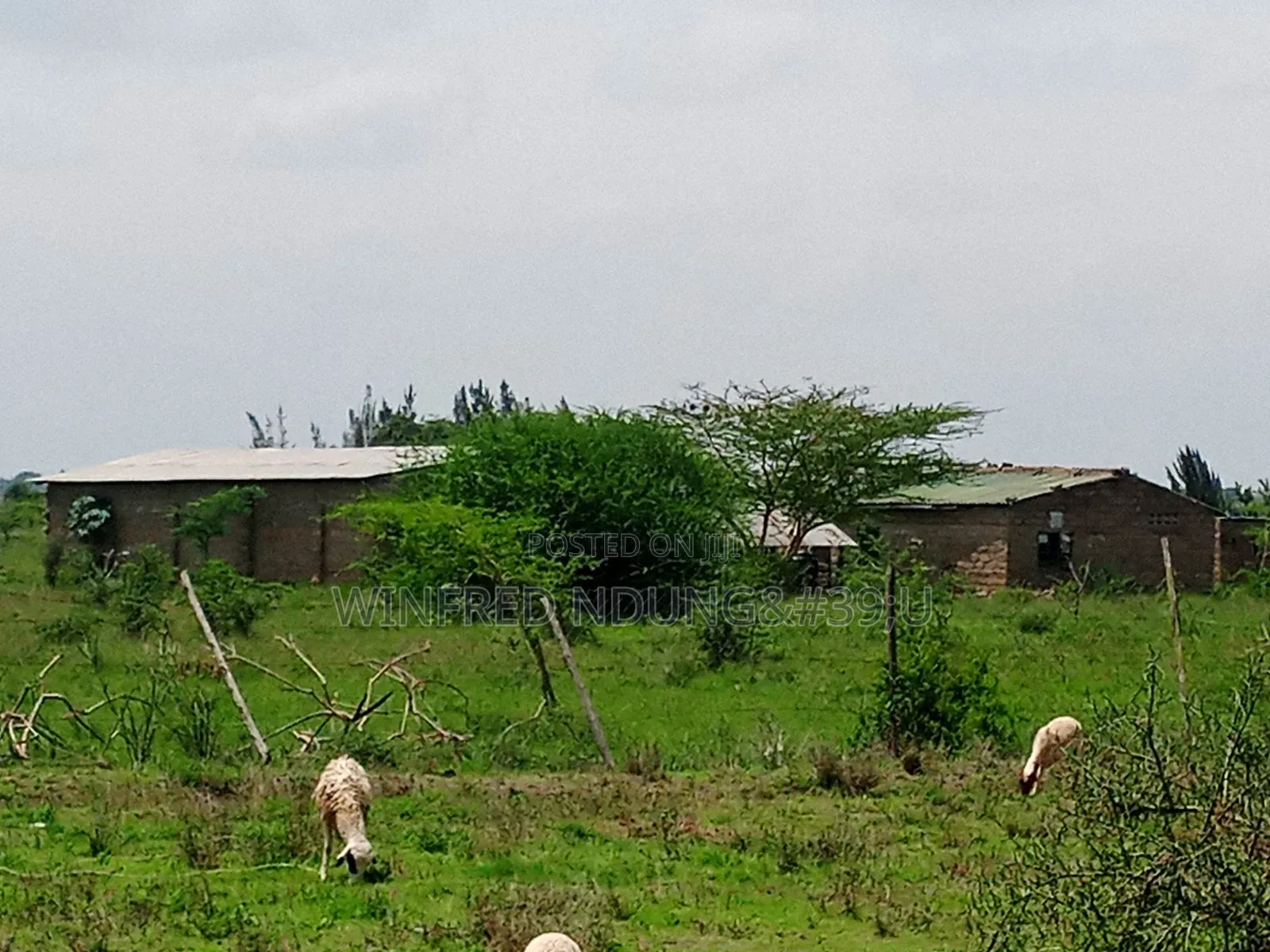 1⁄4plot for Sale Ngong Maroroi Area. 15km From Ngong Town