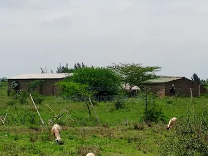 1⁄4plot for Sale Ngong Maroroi Area. 15km From Ngong Town