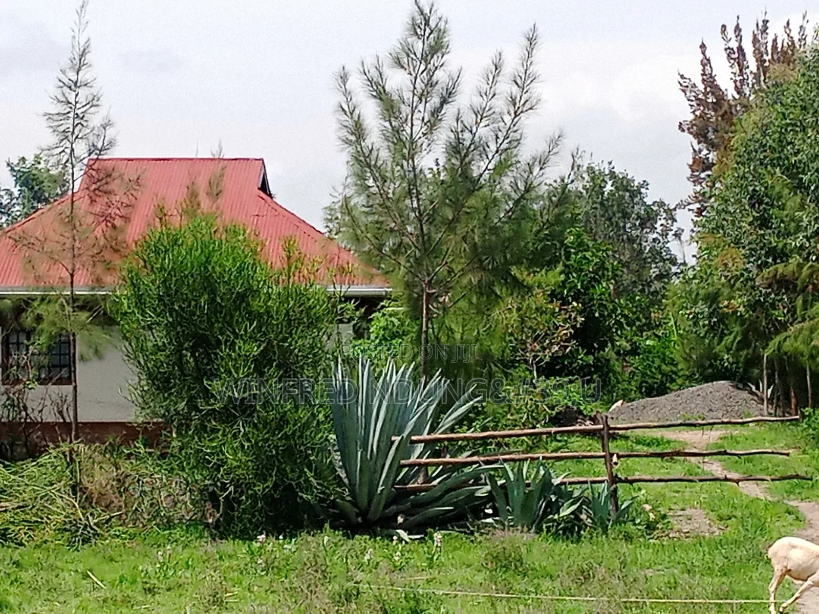1⁄4plot for Sale Ngong Maroroi Area. 15km From Ngong Town