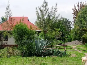 1⁄4plot for Sale Ngong Maroroi Area. 15km From Ngong Town