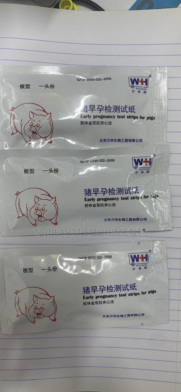Pig Pregnancy Test Kits Available! - thumbnail 3