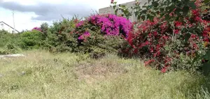 Prime 1⁄4 Acre Land in Kitengela Township