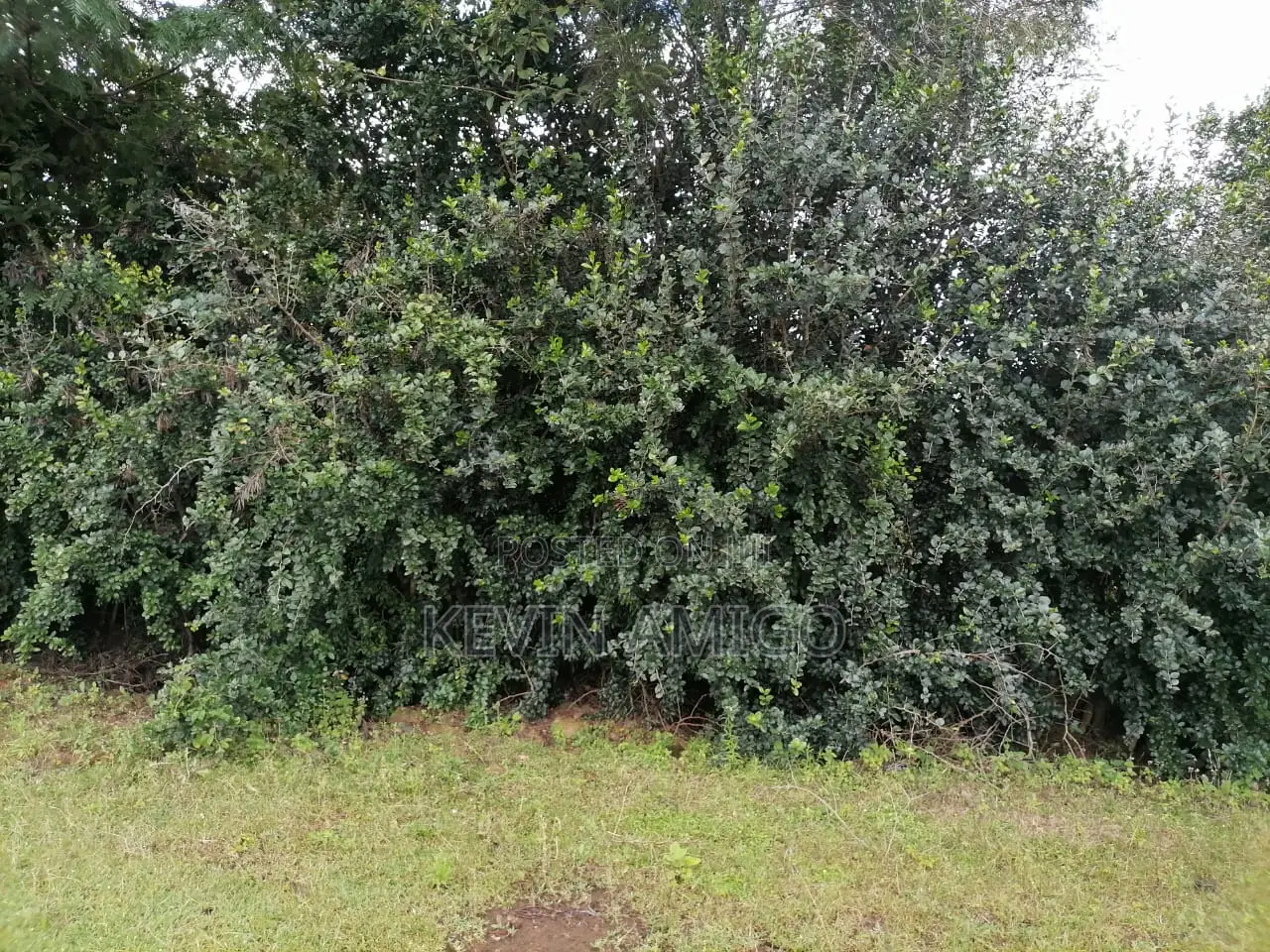 Plot for Sale in Nakuru