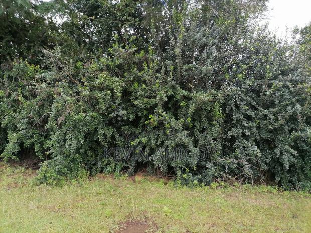 Plot for Sale in Nakuru - thumbnail 2
