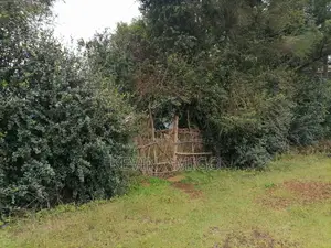 Plot for Sale in Nakuru