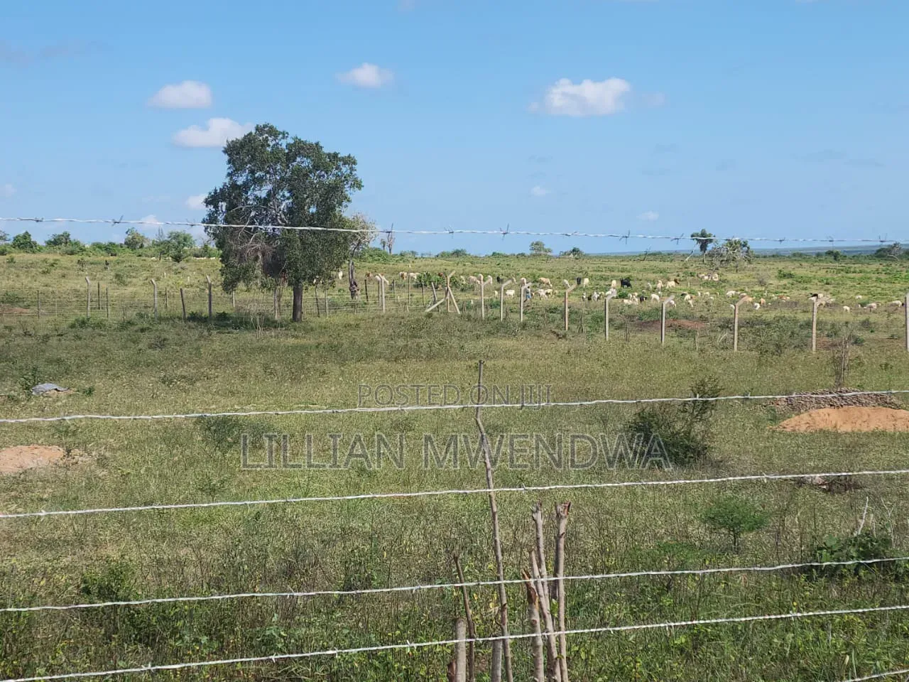 50*100 Land for Sale in Kakoneni , Malindi