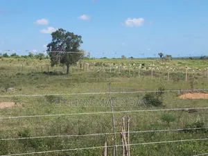 50*100 Land for Sale in Kakoneni , Malindi
