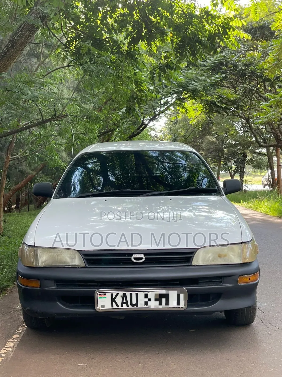 Toyota Corolla 1998 White
