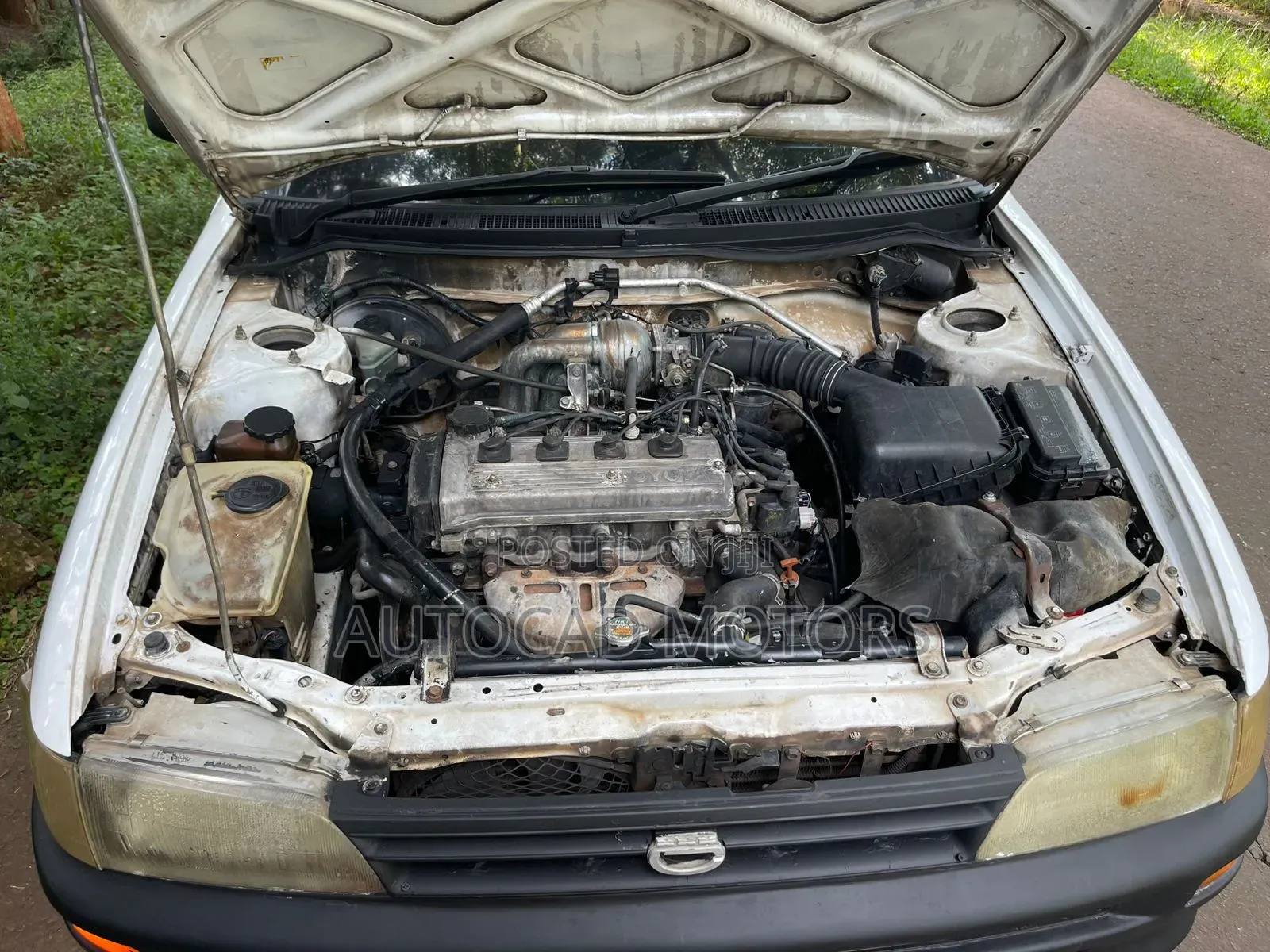 Toyota Corolla 1998 White