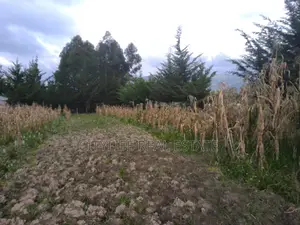 Kipipiri,Aberdare ,Migaa, One Acre Arable Flat Land.