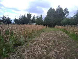 Kipipiri,Aberdare ,Migaa, One Acre Arable Flat Land.