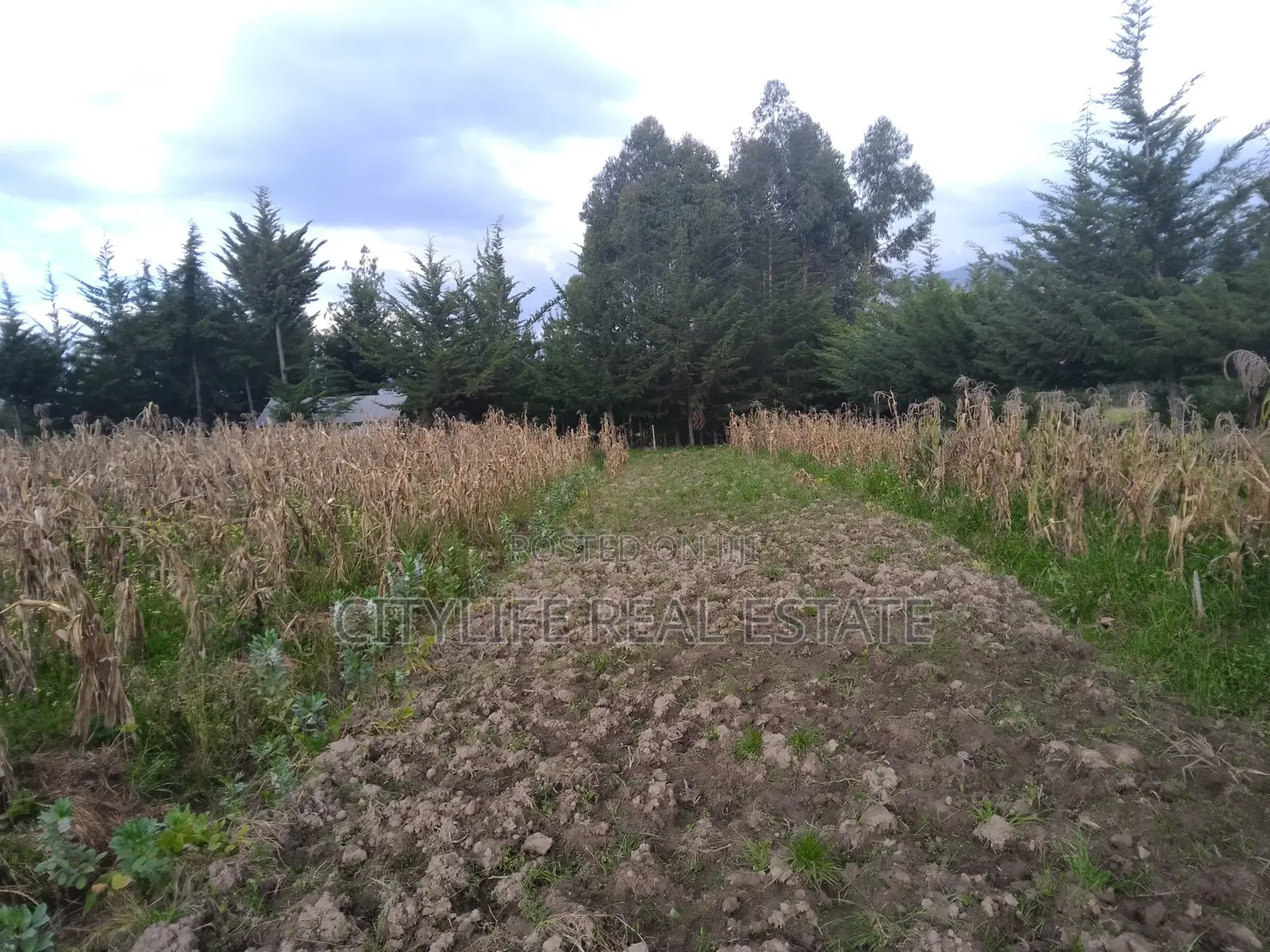 Kipipiri,Aberdare ,Migaa, One Acre Arable Flat Land.