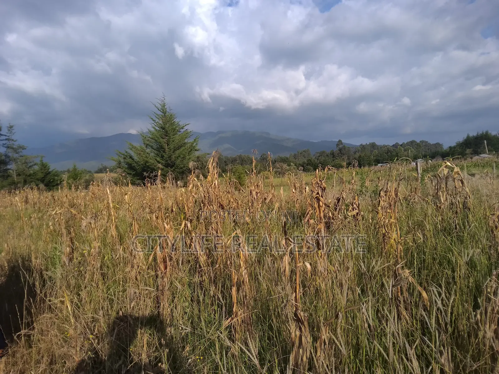 Kipipiri,Aberdare ,Migaa, One Acre Arable Flat Land.