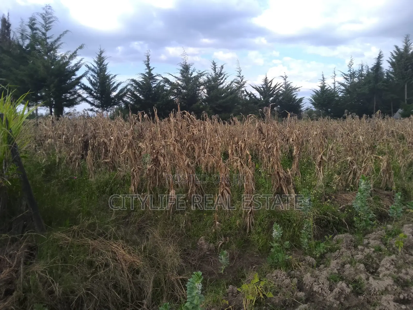 Kipipiri,Aberdare ,Migaa, One Acre Arable Flat Land.