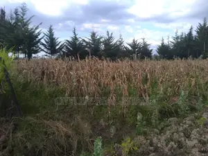 Kipipiri,Aberdare ,Migaa, One Acre Arable Flat Land.