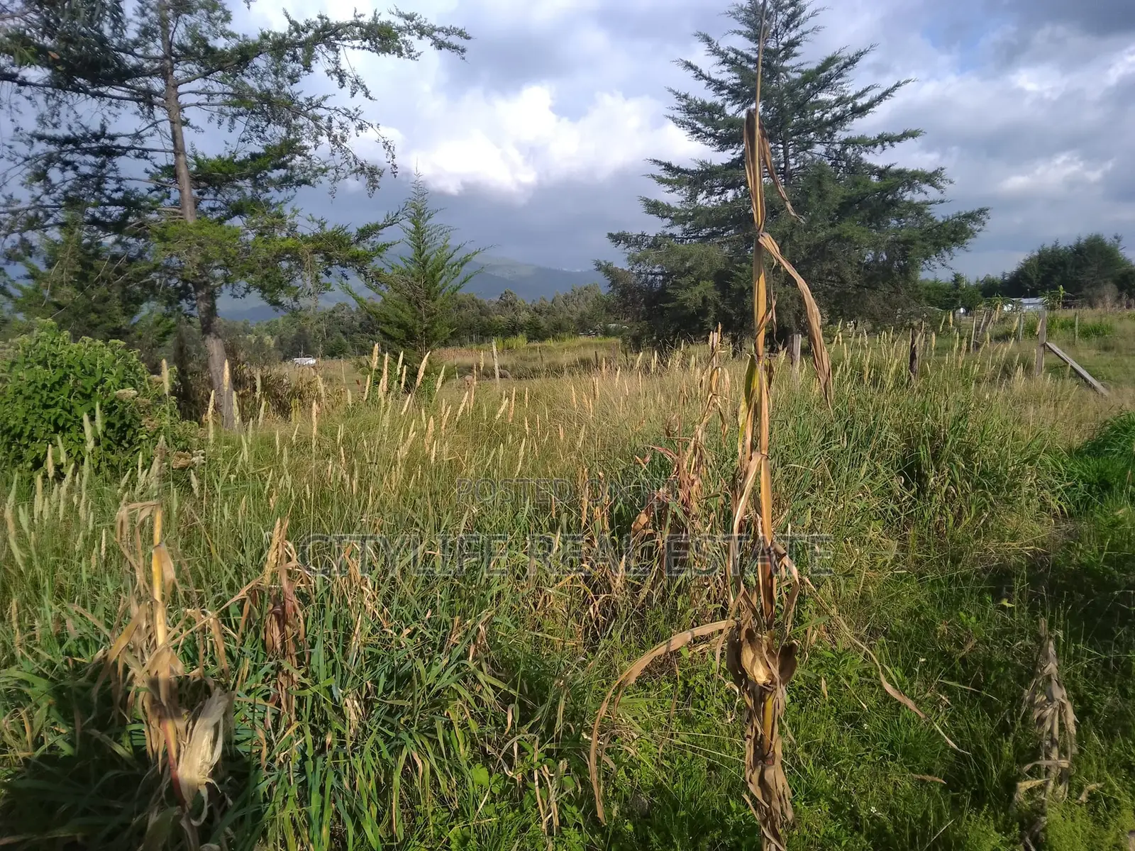 Kipipiri,Aberdare ,Migaa, One Acre Arable Flat Land.