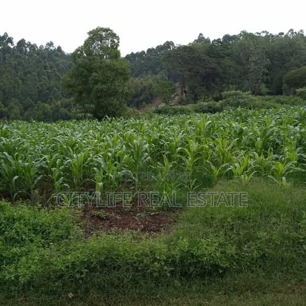 1 Acre Land for Sale in Redhill North Tigoni