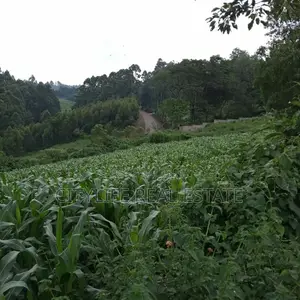 1 Acre Land for Sale in Redhill North Tigoni