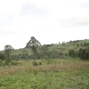 Kipipiri, Turasha, Kibunja Agricultural Land With All 10 Acres