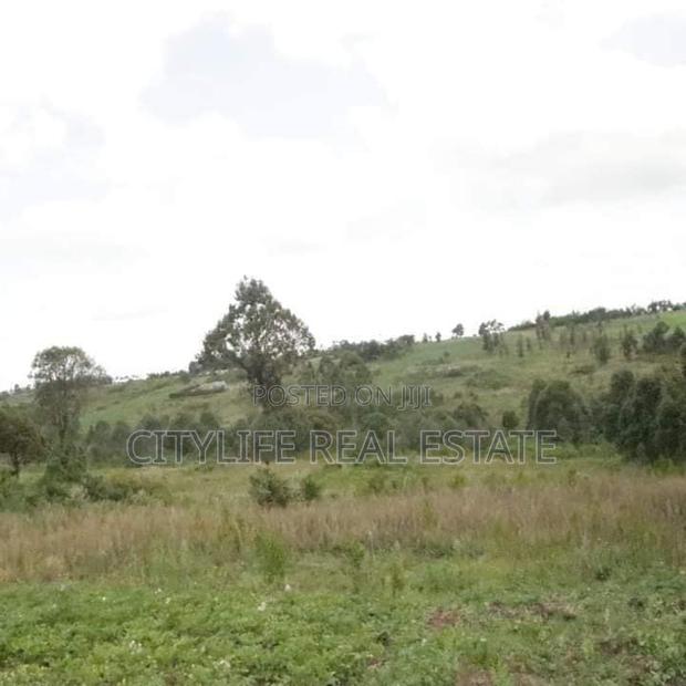 Kipipiri, Turasha, Kibunja Agricultural Land With All 10 Acres
