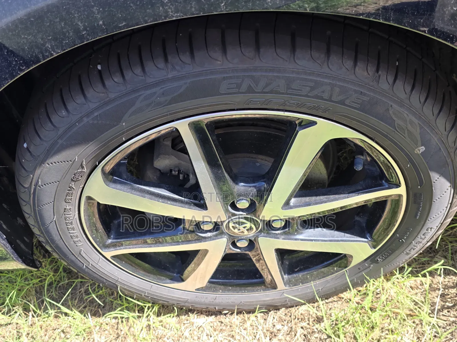 Toyota Corolla Fielder 1.5 Hybrid FWD 2019 Green