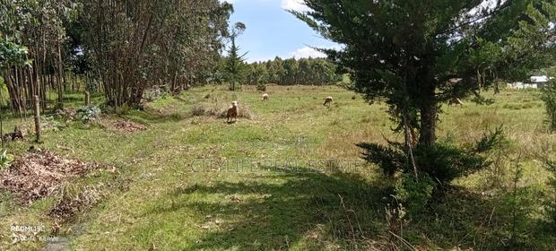 Murungaru North Kinangop 14 Acres Land - thumbnail 3