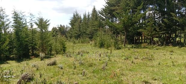 Murungaru North Kinangop 14 Acres Land - thumbnail 4