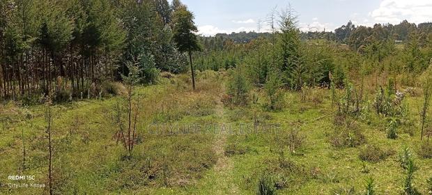 Murungaru North Kinangop 14 Acres Land - thumbnail 6