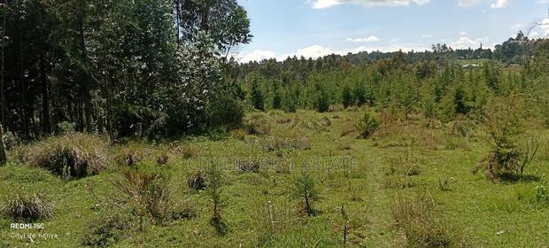 Murungaru North Kinangop 14 Acres Land - thumbnail 9