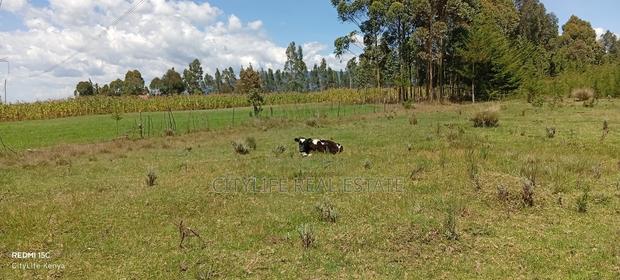 Murungaru North Kinangop 14 Acres Land - thumbnail 7