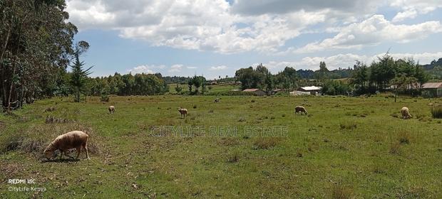 Murungaru North Kinangop 14 Acres Land - thumbnail 8