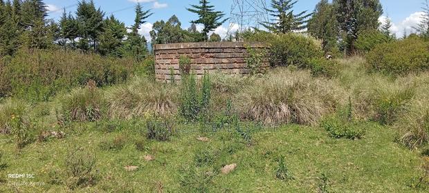 Murungaru North Kinangop 14 Acres Land - thumbnail 10