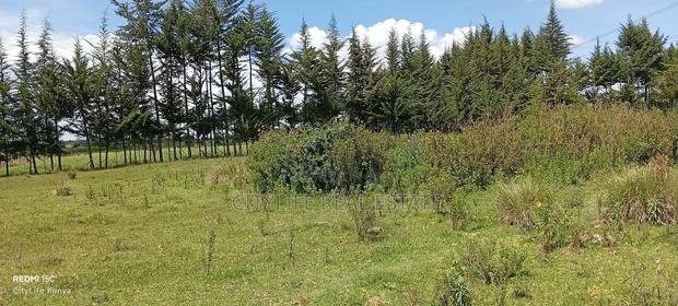 Murungaru North Kinangop 14 Acres Land - thumbnail 11