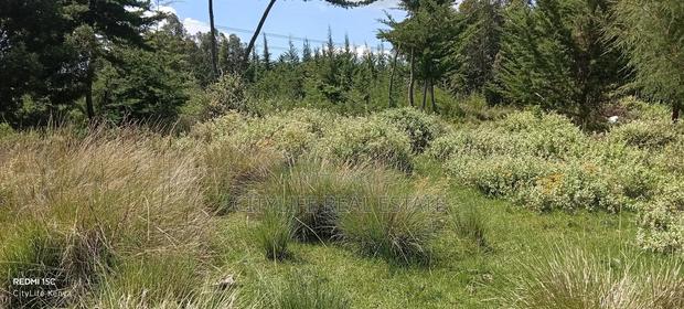 Murungaru North Kinangop 14 Acres Land - thumbnail 13
