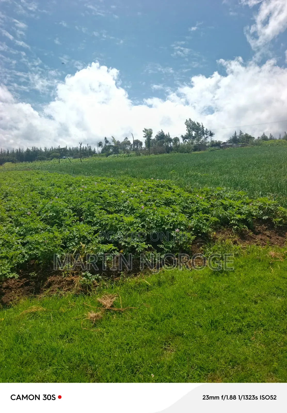 1⁄2 Acre Kinungi,( Munyu Area)