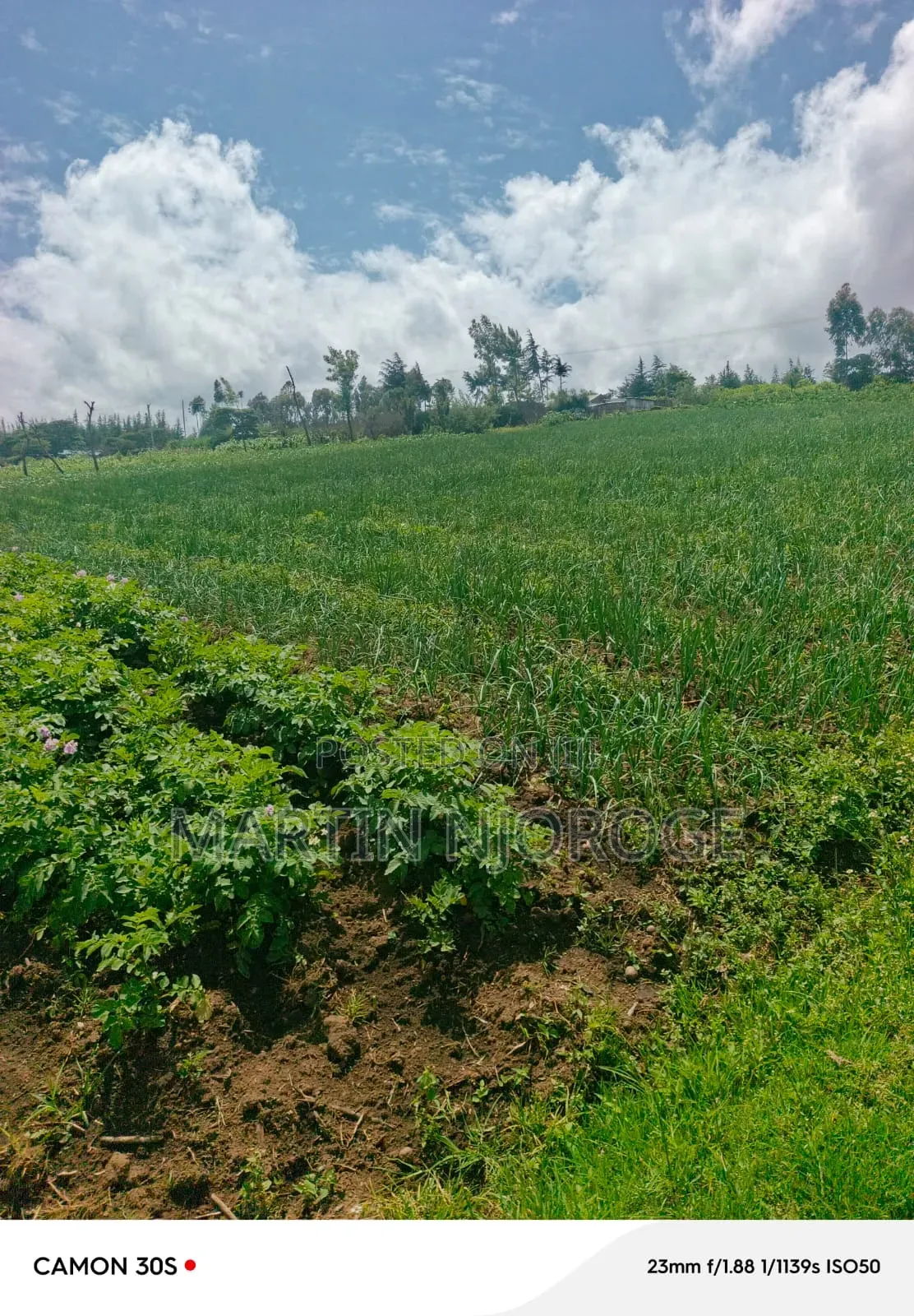 1⁄2 Acre Kinungi,( Munyu Area)