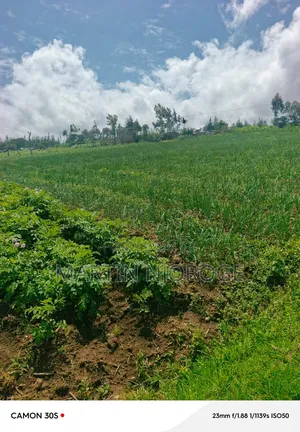 1⁄2 Acre Kinungi,( Munyu Area)