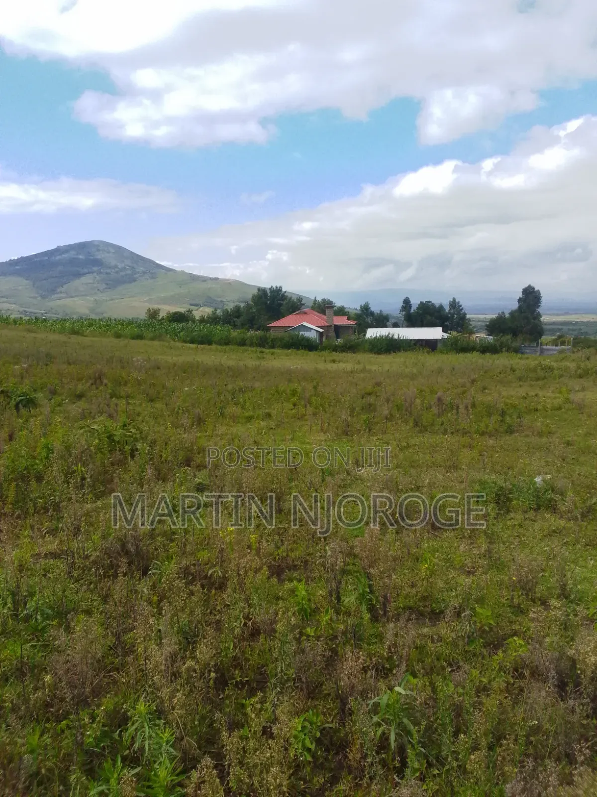 50 by 100 Longonot