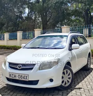 Toyota Corolla Fielder 2009 White