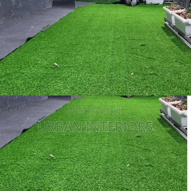 Walkway Grass Carpet Walkway Grass Carpet