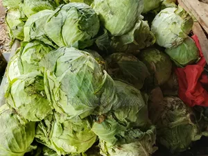Good Quality Cabbages