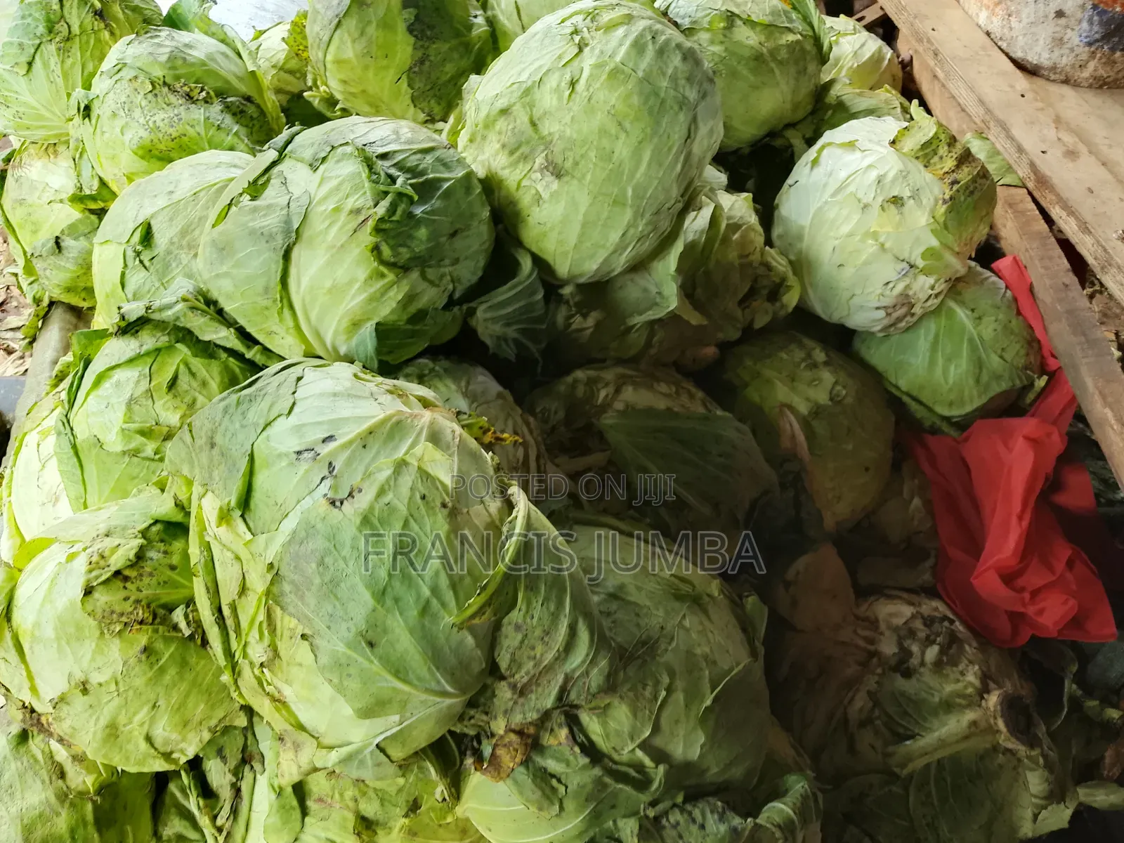 Good Quality Cabbages