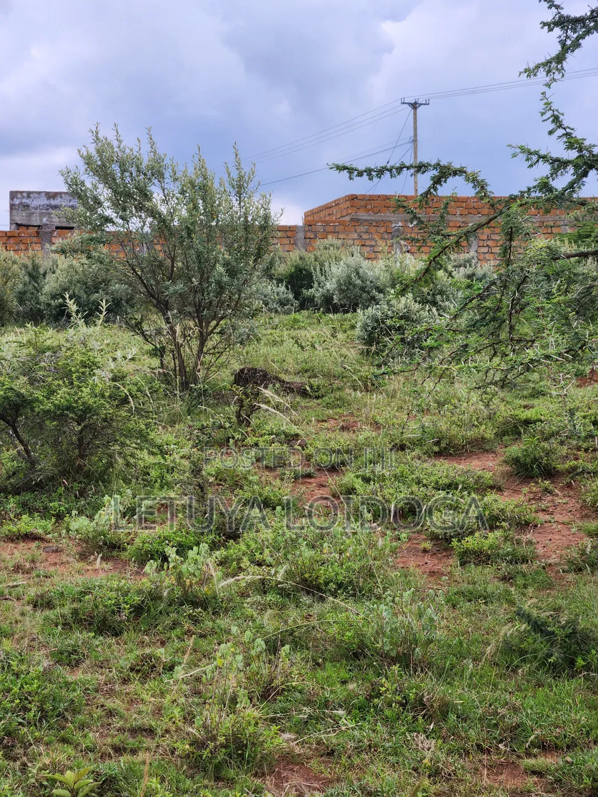 Prime Affordable 1⁄8 Acre Plots Ngong-Kimuka