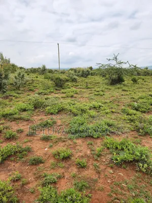 Prime Affordable 1⁄8 Acre Plots Ngong-Kimuka