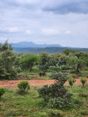 Prime Affordable 1⁄8 Acre Plots Ngong-Kimuka