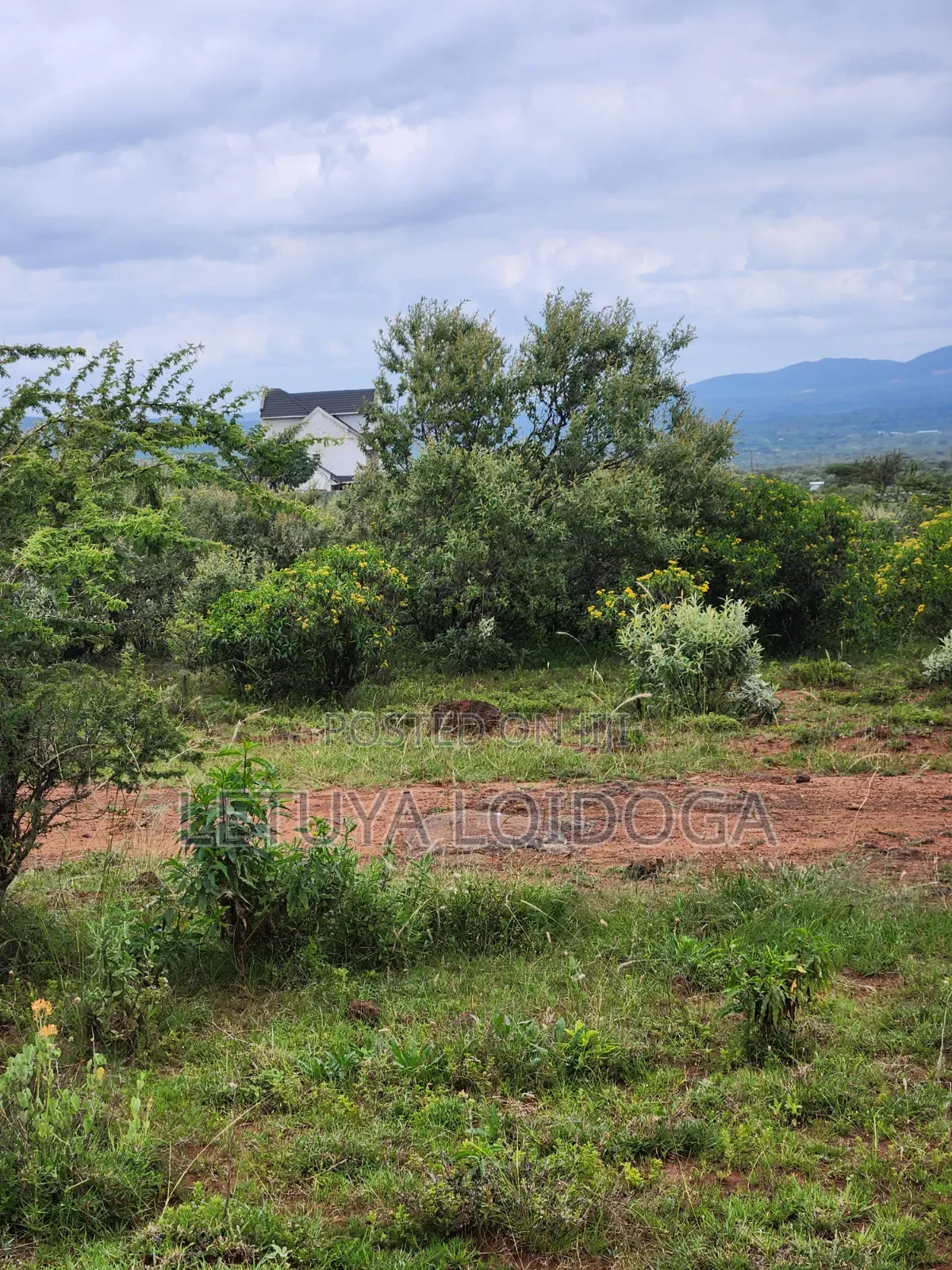 Prime Affordable 1⁄8 Acre Plots Ngong-Kimuka