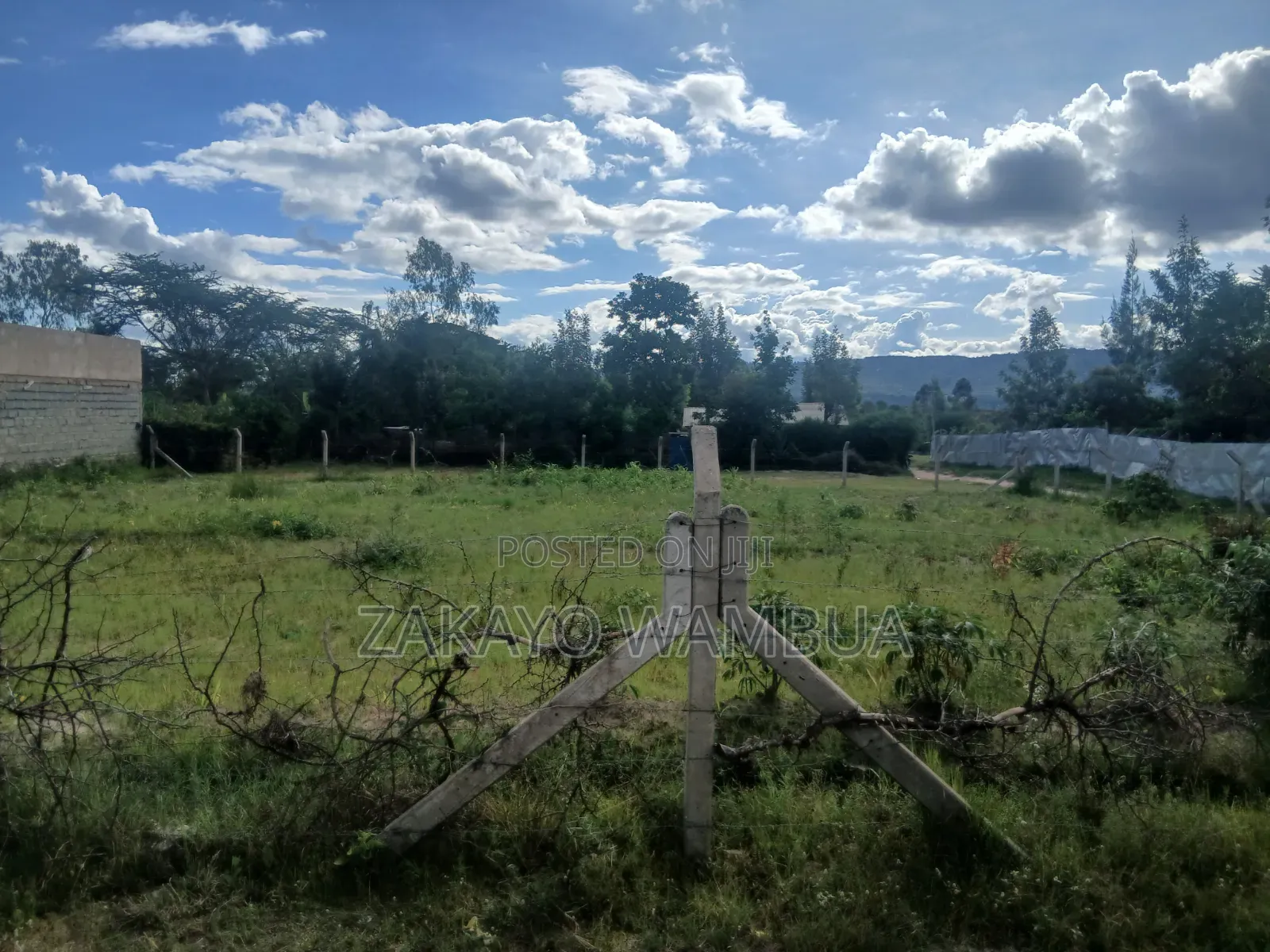 100ft×100ft (0.09 Hectares or 100by 100) Plot