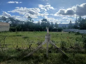 100ft×100ft (0.09 Hectares or 100by 100) Plot